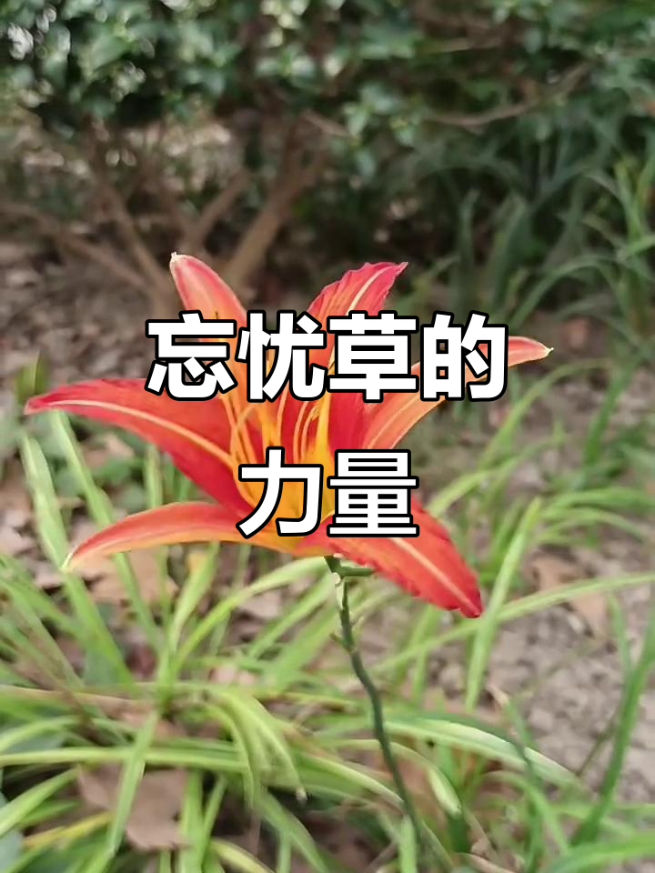2025年9月9日